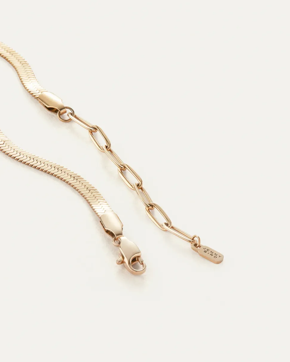 Zeina Anklet